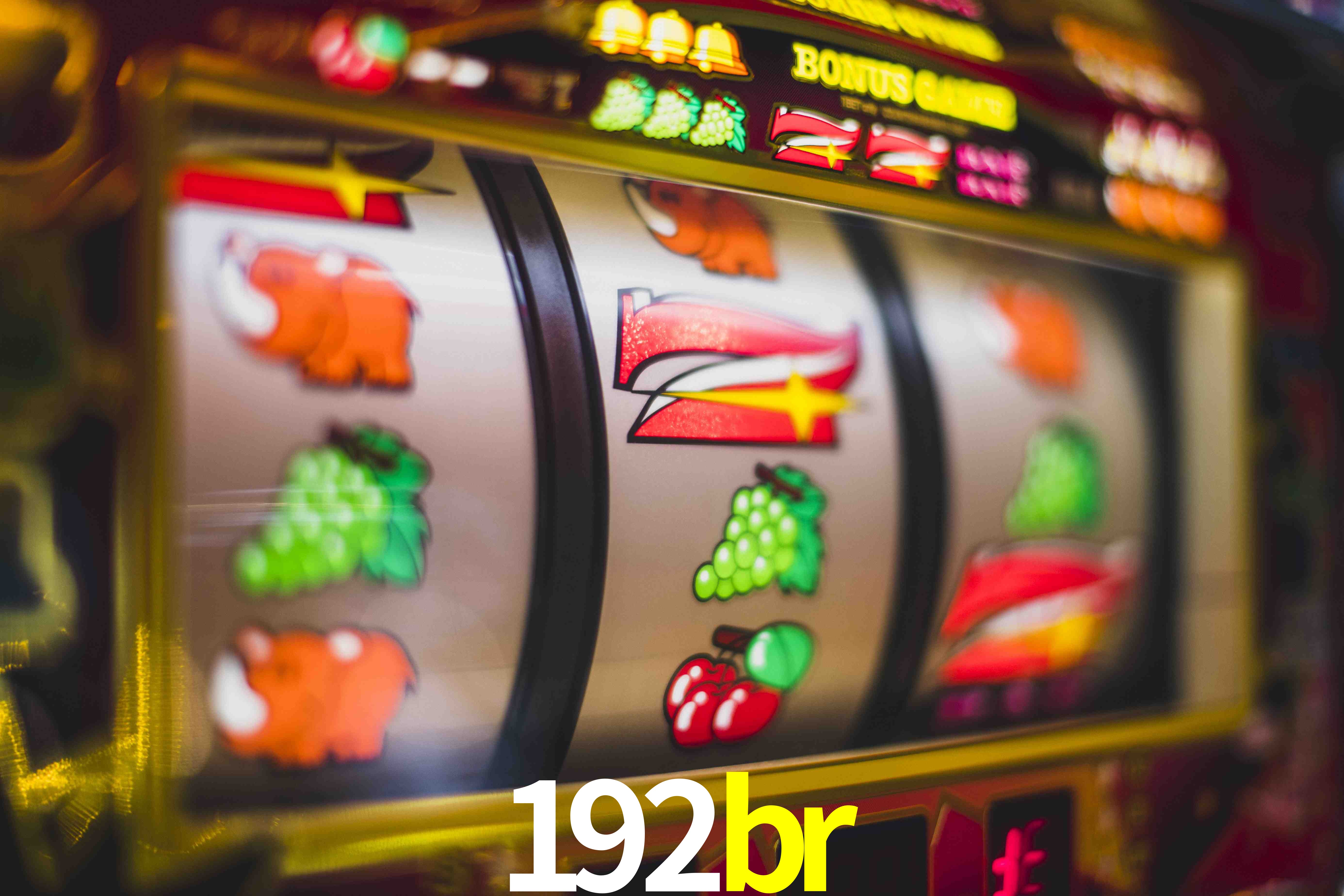 VIP Casino 192br